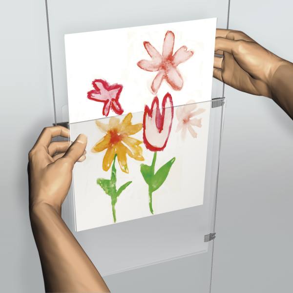 Display Systems