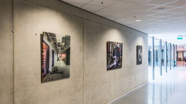 Picture Hanging Sytems